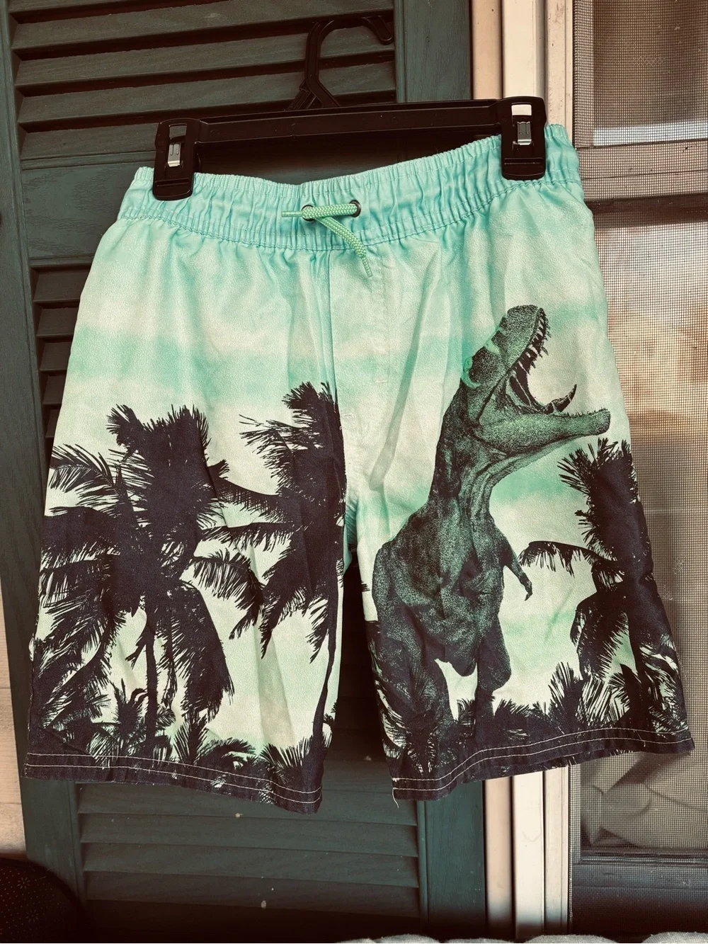 OshKosh B'gosh Teal Dino & Palm Swim Shorts